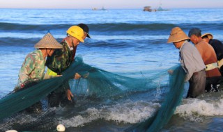 草鱼肝脏怎么吃（草鱼肝脏怎么吃最好）