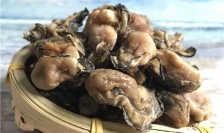 蚝豉怎么吃最好（蚝豉怎么吃最好吃）