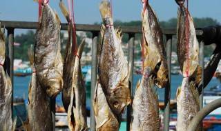 咸鱼怎么弄了吃（闲鱼怎么吃啊）