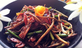 杂烧茶树菇做法窍门（杂烧茶树菇做法窍门是什么）