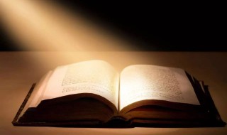 写作技巧性格特点（写作技巧的特点）