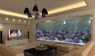 公司门口养鱼风水禁忌讲究注意事项 家门口养鱼 风水