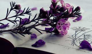 朋友圈十句哄女人开心的话(十句哄女性朋友开心的话)