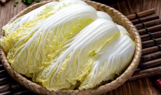 娃娃菜怎么做(娃娃菜怎么做最好吃)