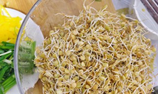 扁豆芽的家常吃法技巧（扁豆豆芽的家常吃法）