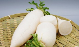 白萝卜雪梨水步骤 白萝卜雪梨煮水的禁忌