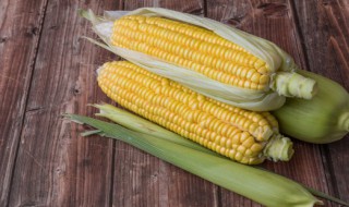 粘玉米制作方法 粘玉米制作方法窍门