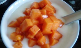 木瓜酸奶步骤（木瓜牛奶可以用酸奶吗）