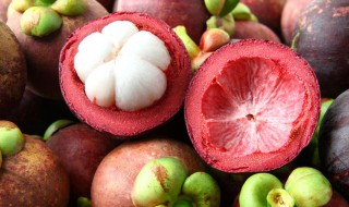 山竹素描片步骤(山竹素描视频)