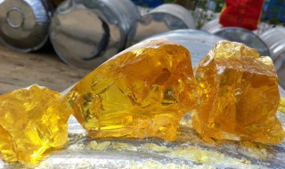 提取松香的正确步骤 松香的制作原料及方法