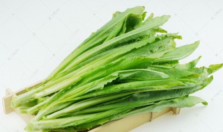 蒜蓉油麦菜的做法技巧 蒜蓉油麦菜的做法技巧大全