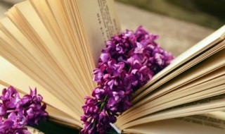 爱国有关的好句子 爱国的优美句子有哪些