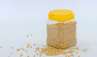 豆子袋子装瓶子方法（瓶子里装豆子）