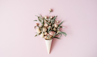 祝福成功女性的句子 祝福成功女性的句子有哪些