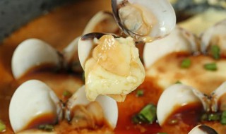 青蛤蒸蛋做法步骤（蛤蒸蛋的做法）