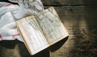 青枫江上秋帆远全诗 青枫江上秋帆远白帝城边古木疏全诗