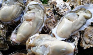 生蚝功效与作用（蒜蓉生蚝功效与作用）