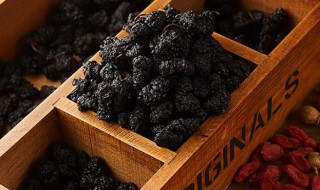 桑葚枸杞膏的做法窍门 桑葚枸杞膏的做法窍门是什么