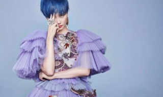 李宇春个人资料简介 李宇春个人资料简介及身高