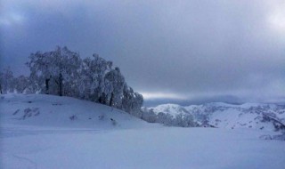 北国风光千里雪飘全诗 北国风光千里雪飘全诗多少字