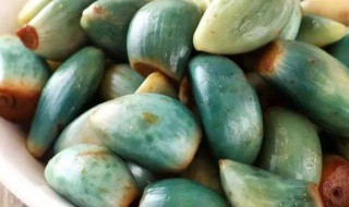 腊八蒜陈醋腌制方法（腊八蒜陈醋的腌制方法）