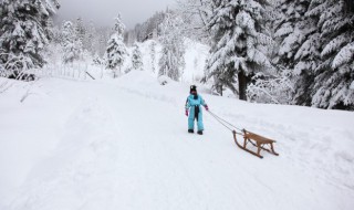 冬天拍雪景教程（冬天拍雪景教程图片）