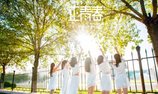 正青春导演是谁（正青春制片人是谁）