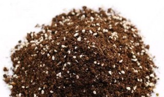 绣球配土怎么做才好（绣球配土怎么做才好）