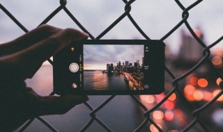 新年祝福词牛年 关于牛年的新年祝福词