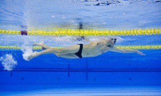 自由泳动作详细教程 自由泳动作详细教程图解