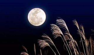 描写月光句子（描写月光的句子 短句）