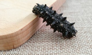 怎么保鲜海参 怎么保鲜海参不坏