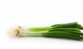 怎么让葱保鲜（怎么让葱保鲜时间长）