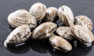 怎么给花甲保鲜（怎么保存新鲜花甲）