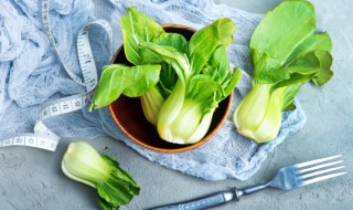 夏天菜怎么保鲜（夏天菜怎么保鲜存放）