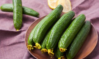 怎么保鲜黄瓜 怎样保鲜黄瓜