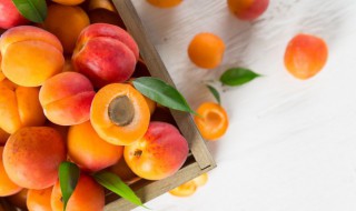 切的水果怎么保鲜 切了的水果保鲜方法