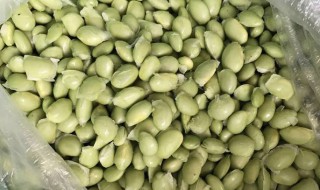 鲜豆子怎么保鲜 鲜豆子怎么保鲜时间长