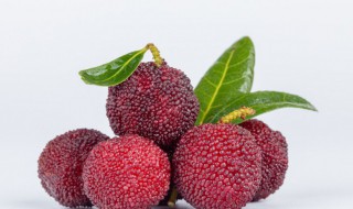 新鲜杨梅快递怎么保鲜(杨梅怎么包装保鲜)