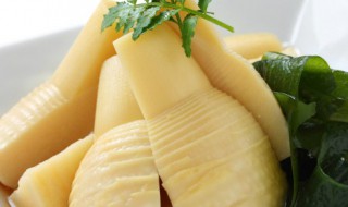 笋子怎么样保鲜 笋子怎么保存好