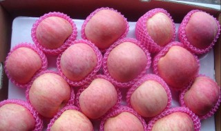家里苹果怎么保鲜(家里苹果如何保存)