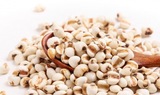 薏米怎么保鲜 薏米怎么保鲜储存