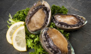 鲍鱼杀完后怎么保鲜 杀好的鲍鱼如何保鲜存放