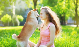 小狗取名字能招财的 小狗取名字能招财的 如意母狗