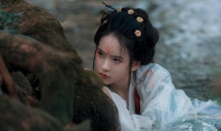 五字诗句网名（五字诗句网名情侣）