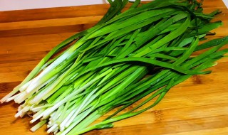 新鲜韭菜的保存方法技巧（新鲜韭菜怎么保存方法）