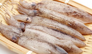 怎么做新加坡烤鱿鱼（怎么做新加坡烤鱿鱼视频）