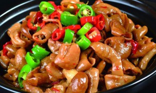 肥肠煲的家常做法 肥肠煲的家常做法窍门