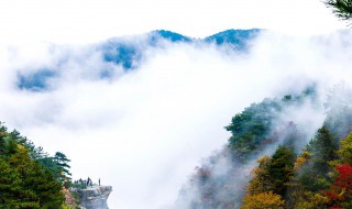 关于赞美庐山的诗句（关于赞美庐山的诗句大全）