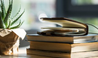 小学生学习习惯名言